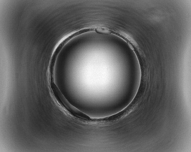 X0000087610936200704271338