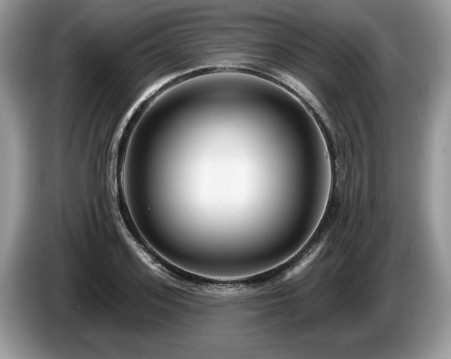 X0000087610939200704271338