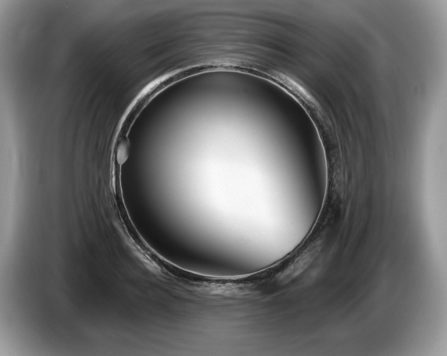 X0000087610940200704271338