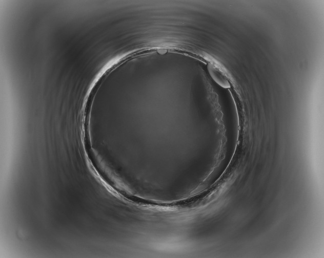 X0000087610941200704271338