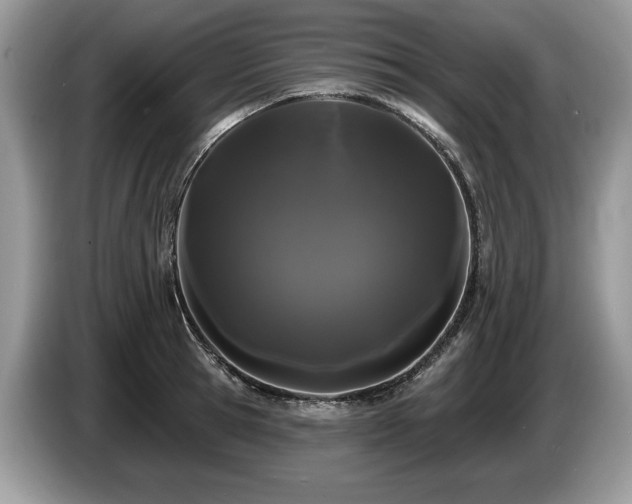 X0000087610945200704271338