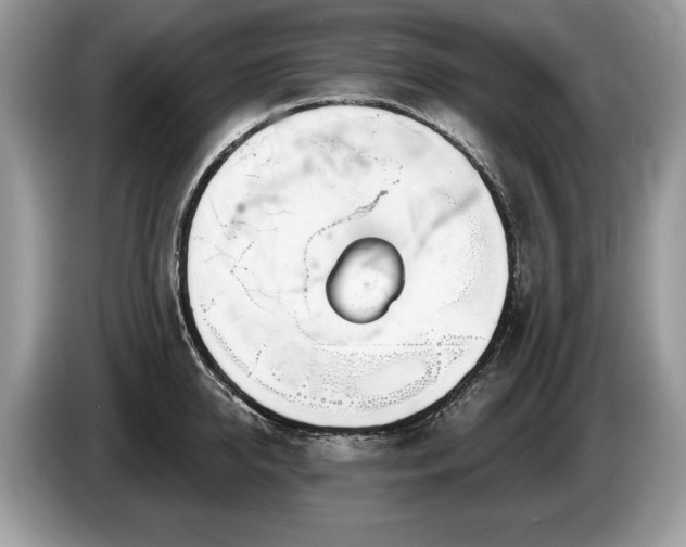 X0000087610950200704271338
