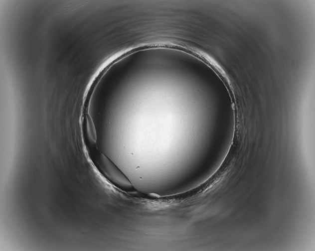 X0000087610951200704271338
