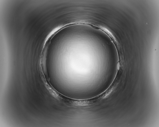 X0000087610952200704271338