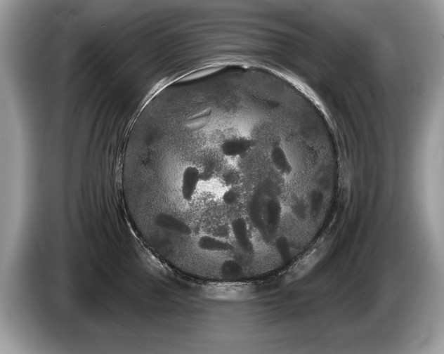 X0000087610953200704271338