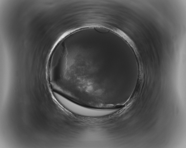 X0000087610958200704271338