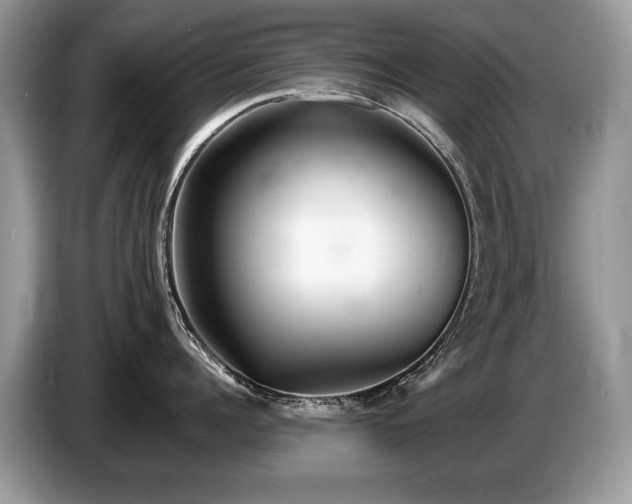 X0000087610960200704271338