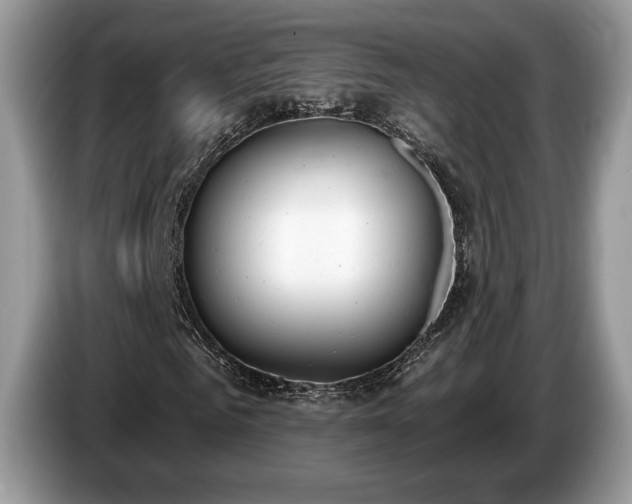 X0000087610961200704271338