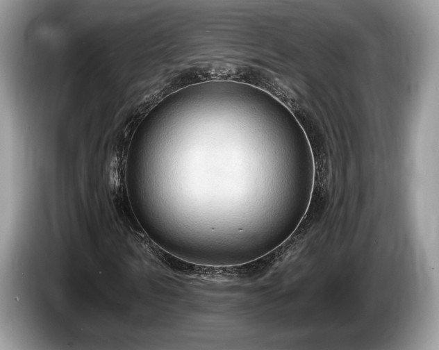 X0000087610962200704271338
