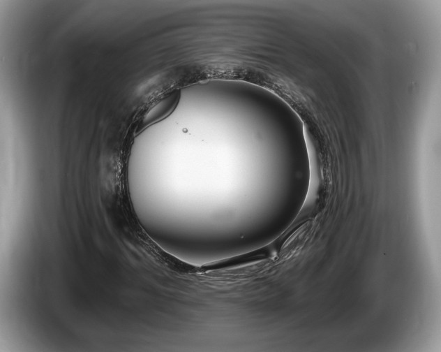 X0000087610964200704271338
