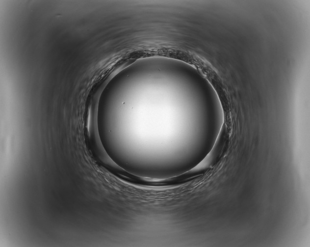 X0000087610965200704271338