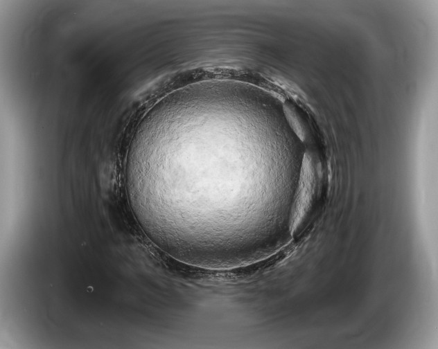 X0000087610966200704271338
