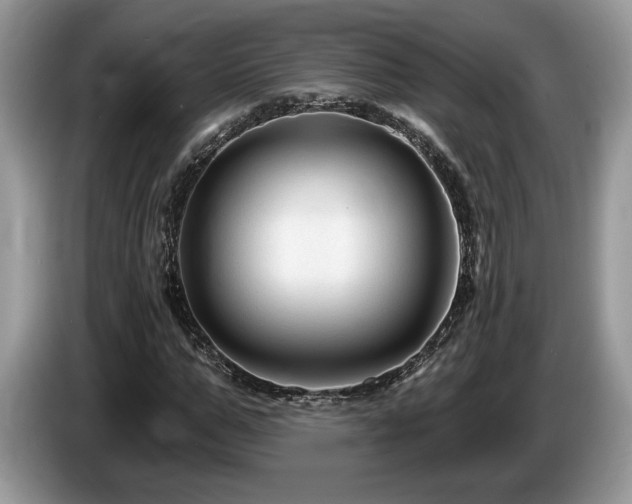 X0000087610967200704271338