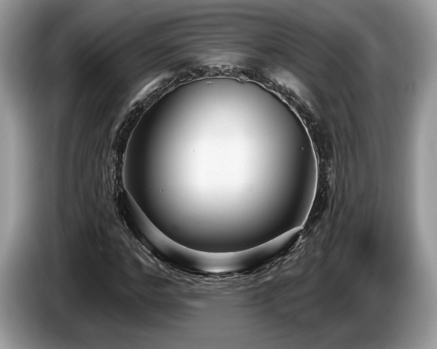 X0000087610968200704271338