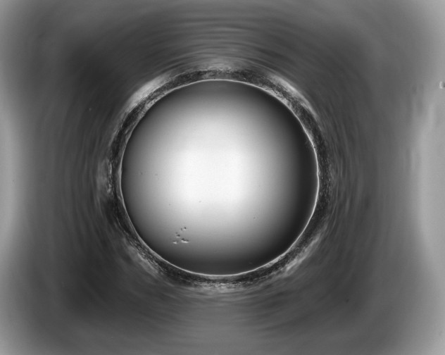 X0000087610970200704271338
