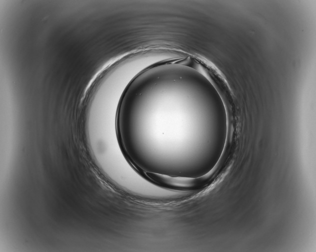X0000087610973200704271338