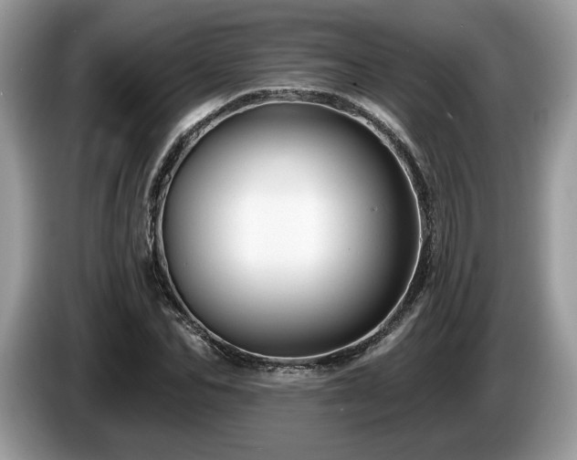 X0000087610974200704271337