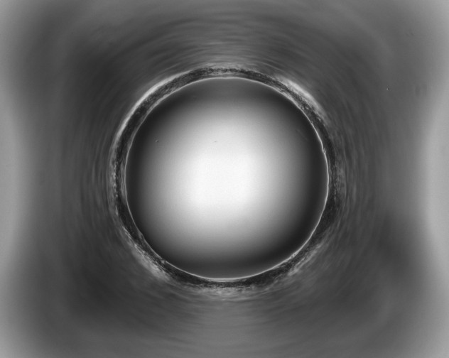 X0000087610976200704271337