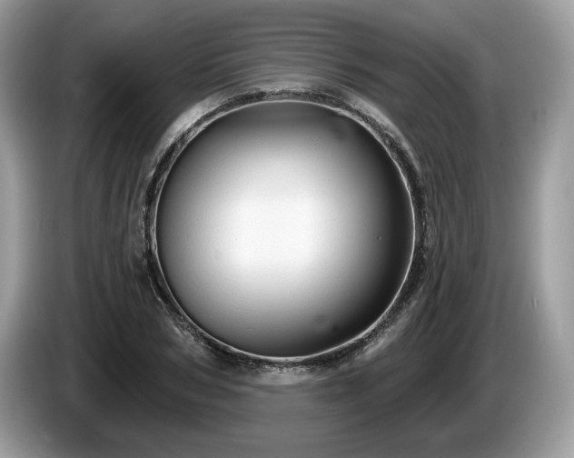 X0000087610978200704271337