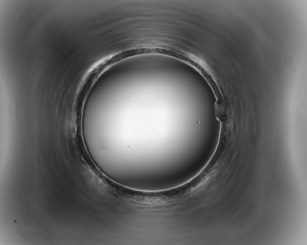 X0000087610979200704271337