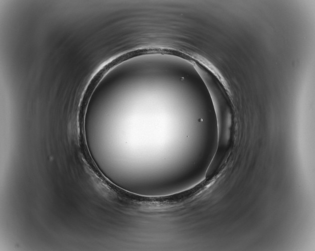 X0000087610980200704271337