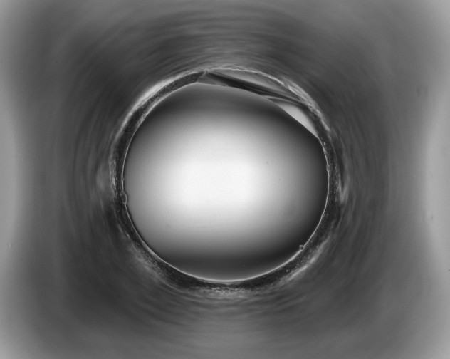 X0000087610981200704271337