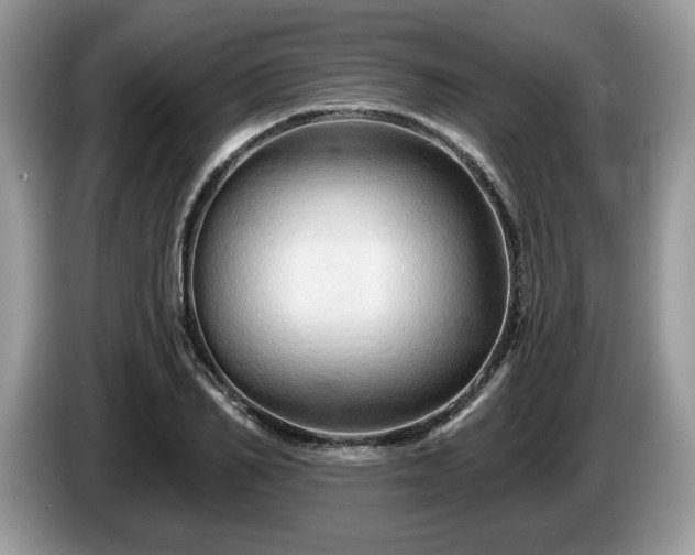 X0000087610982200704271337