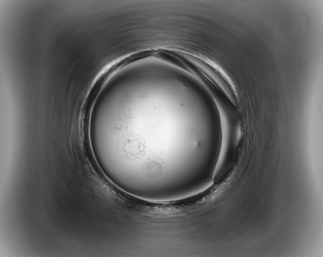 X0000087610983200704271337