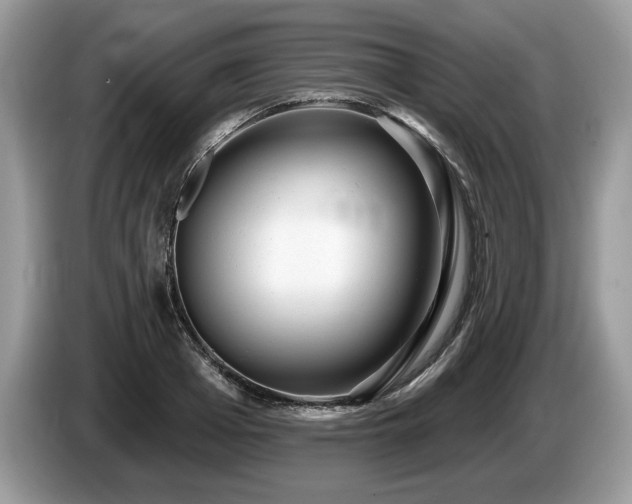 X0000087610985200704271337