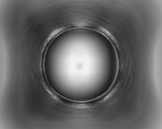 X0000087610986200704271337