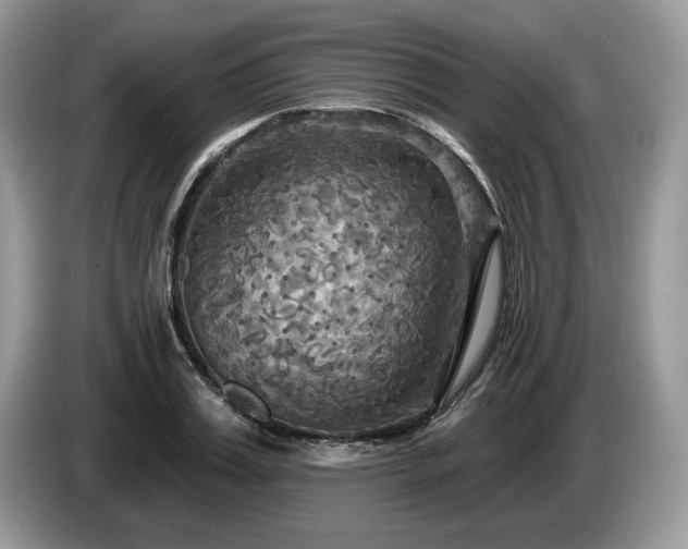 X0000087610987200704271337