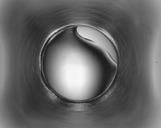 X0000087610988200704271337