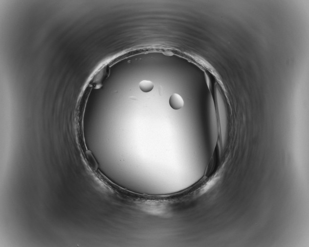 X0000087610989200704271337