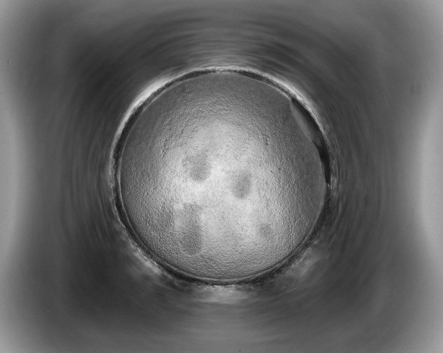 X0000087610990200704271337