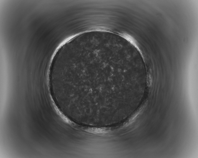 X0000087610995200704271337