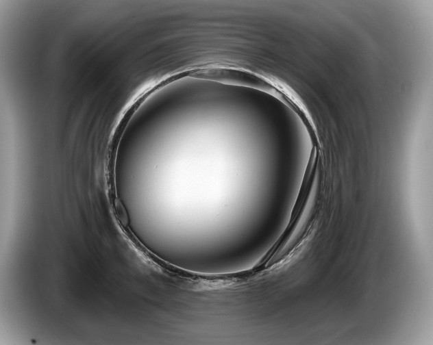 X0000087610997200704271337