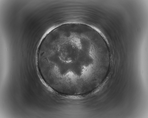 X0000087610998200704271337