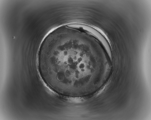 X0000087610999200704271337
