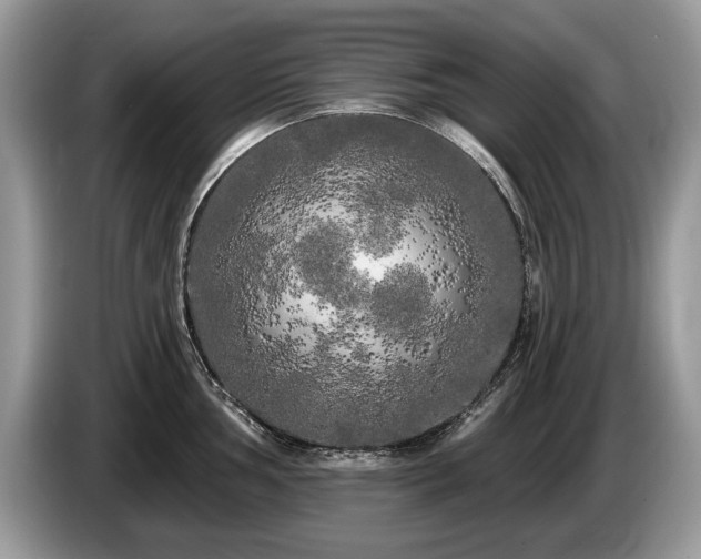 X0000087611002200704271337