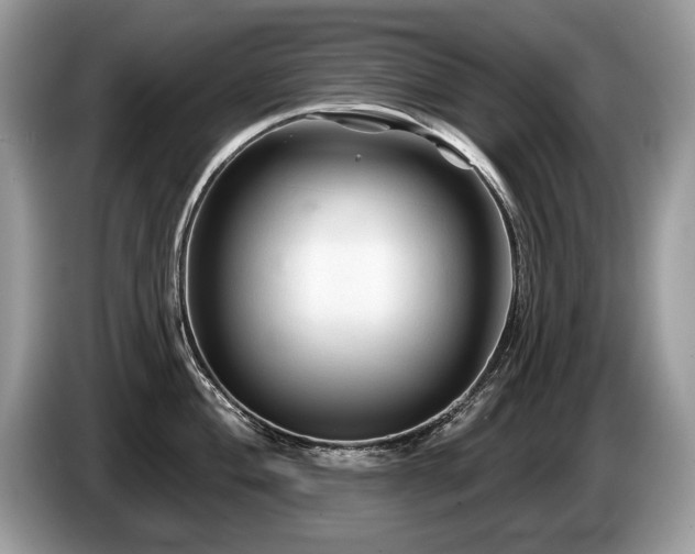 X0000087611004200704271337