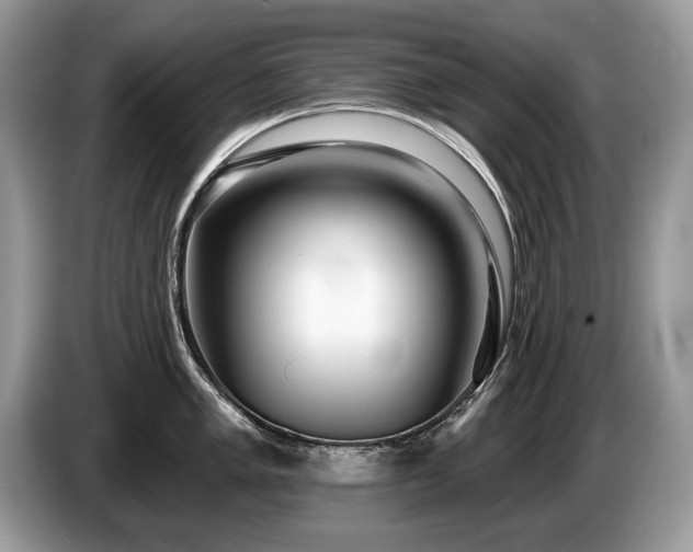 X0000087611005200704271337