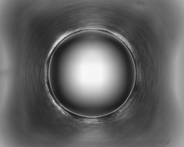 X0000087611006200704271337