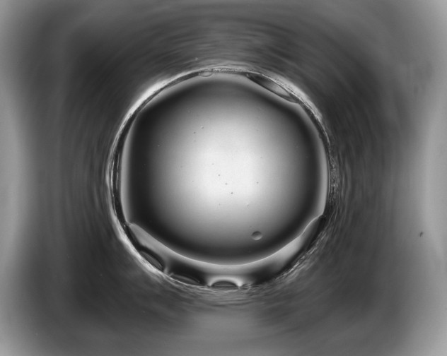 X0000087611007200704271337