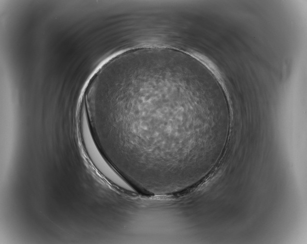 X0000087611008200704271337