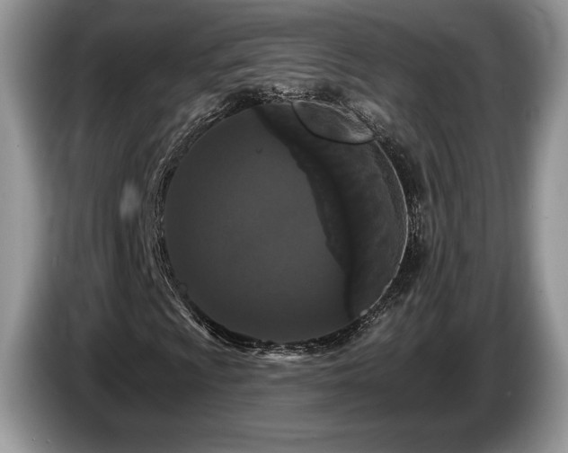 X0000087611009200704271337