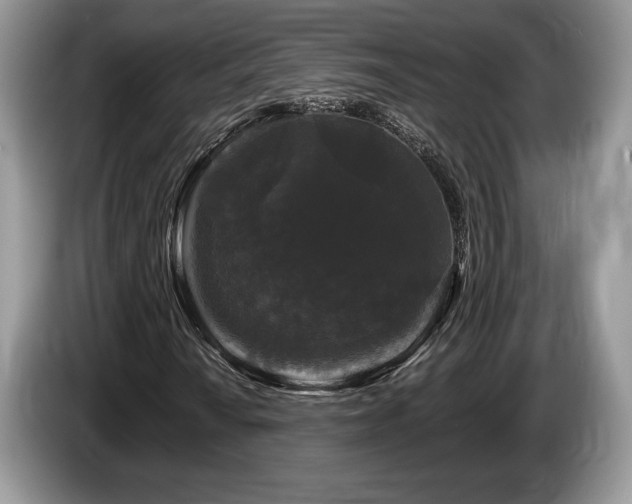 X0000087611010200704271337