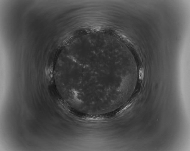 X0000087611011200704271337
