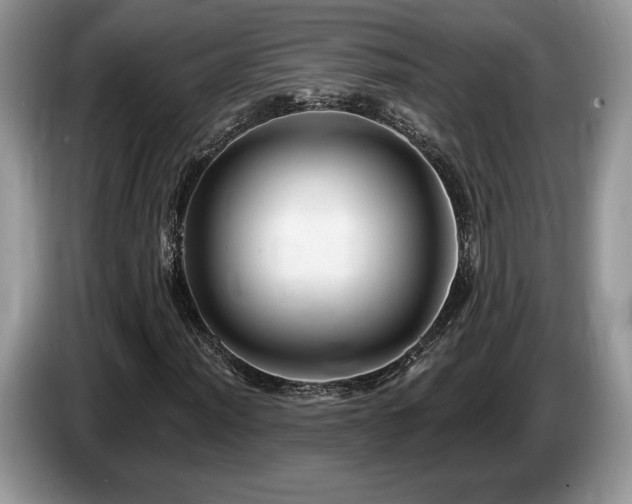 X0000087611012200704271337