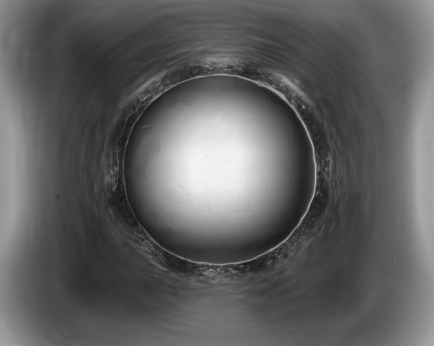 X0000087611015200704271337