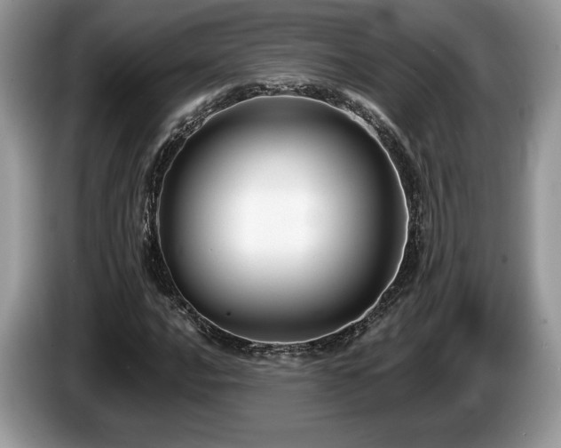 X0000087611016200704271337